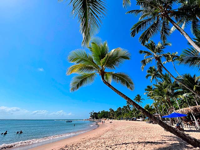 BARRA GRANDE NET Barra Grande Beach Mara Peninsula And Camamu Bay BARRA GRANDE NET Barra Grande Beach Mara Peninsula And Camamu Bay